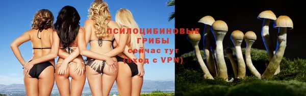 круглые Алзамай