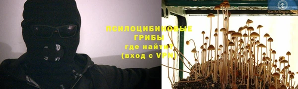 круглые Алзамай