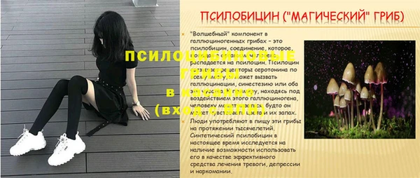 эйфоретик Алексеевка